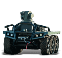 Rook
